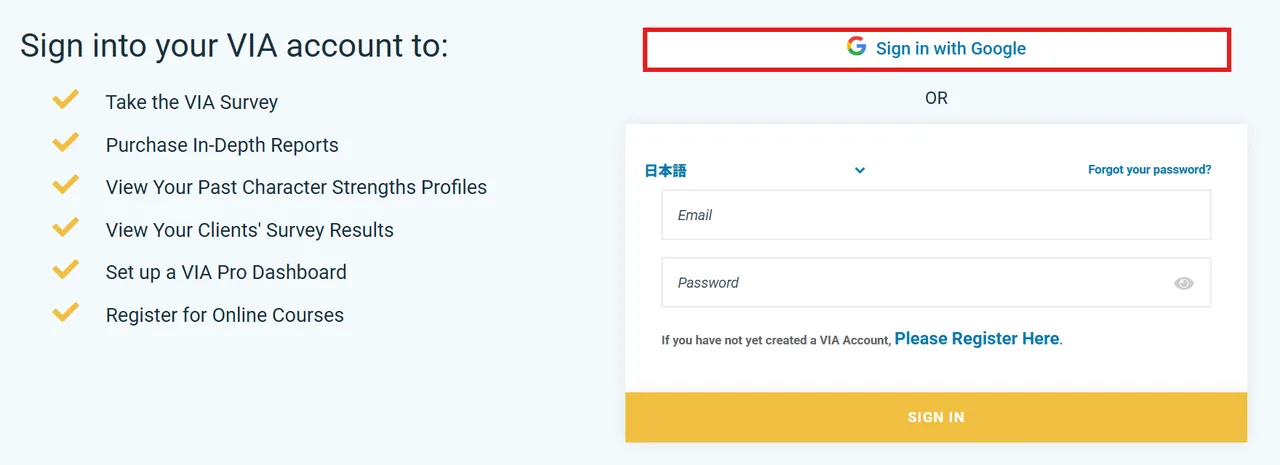 VIAのサインイン画面。「Sign in with Google」またはメールアドレスとパスワードでログインする